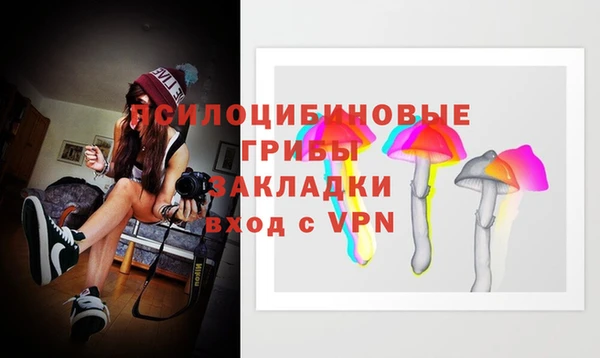 кокс Богданович