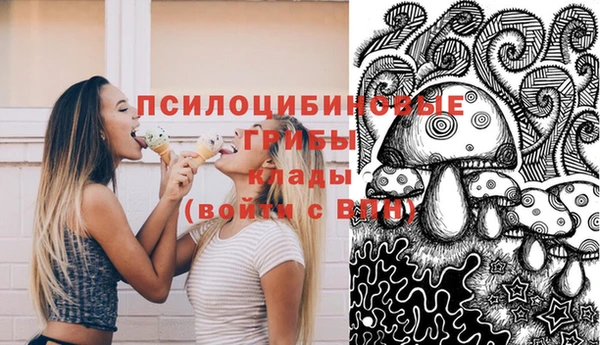 бошки Богородск